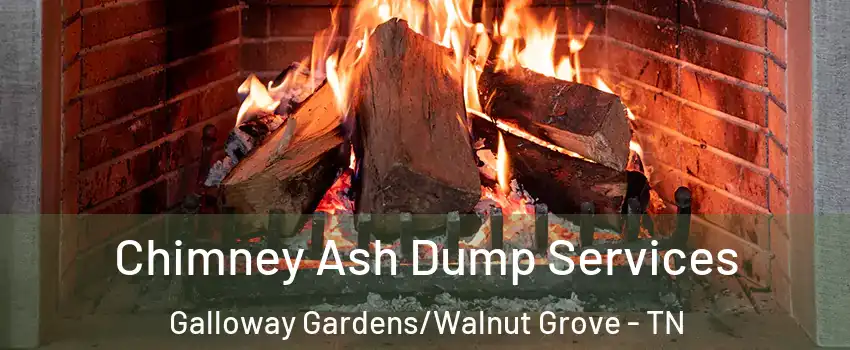 Chimney Ash Dump Services Galloway Gardens/Walnut Grove - TN