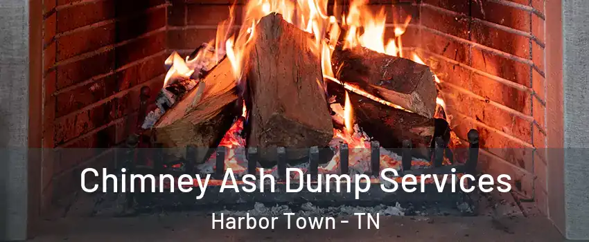 Chimney Ash Dump Services Harbor Town - TN