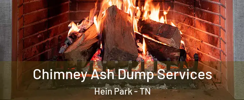 Chimney Ash Dump Services Hein Park - TN