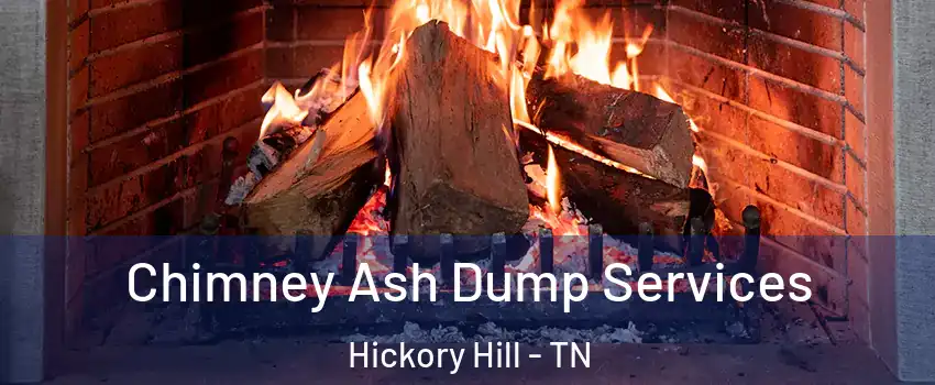 Chimney Ash Dump Services Hickory Hill - TN