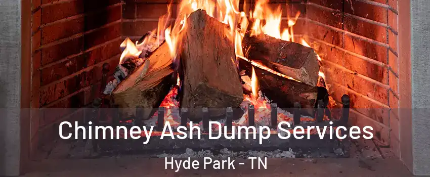 Chimney Ash Dump Services Hyde Park - TN