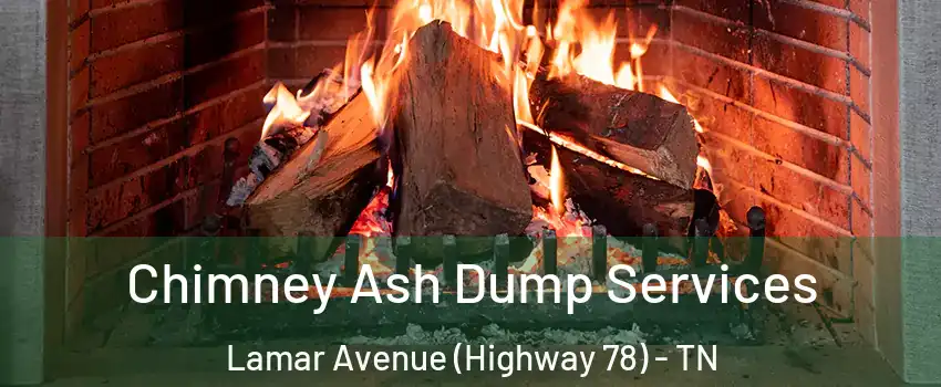 Chimney Ash Dump Services Lamar Avenue (Highway 78) - TN