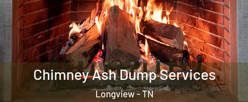 Chimney Ash Dump Services Longview - TN