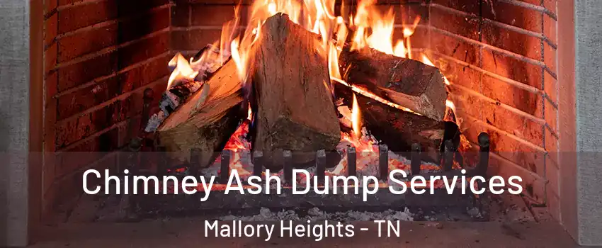 Chimney Ash Dump Services Mallory Heights - TN