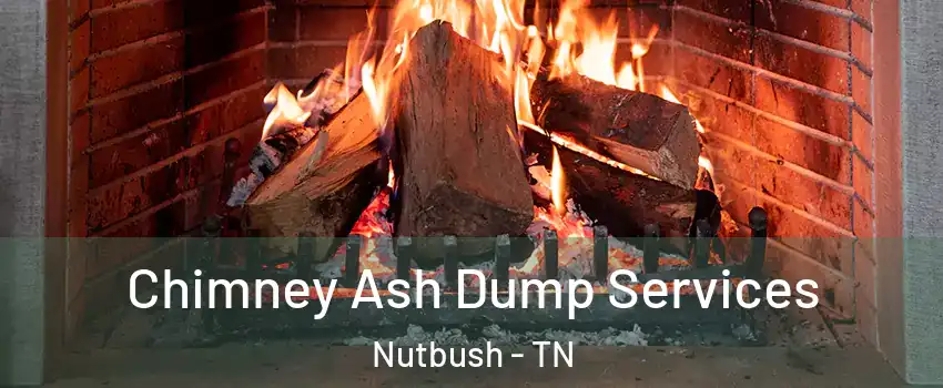 Chimney Ash Dump Services Nutbush - TN