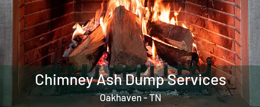 Chimney Ash Dump Services Oakhaven - TN