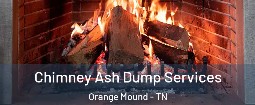 Chimney Ash Dump Services Orange Mound - TN