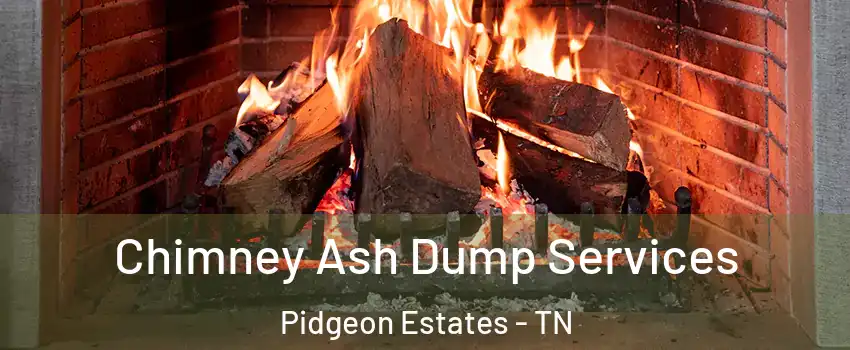 Chimney Ash Dump Services Pidgeon Estates - TN