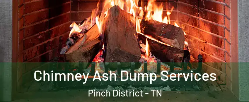 Chimney Ash Dump Services Pinch District - TN