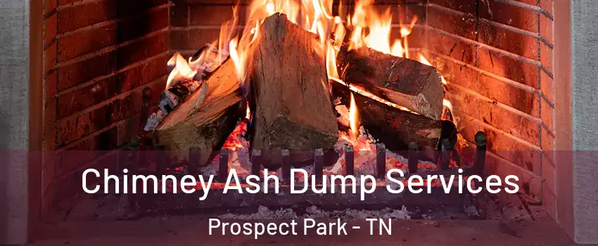 Chimney Ash Dump Services Prospect Park - TN