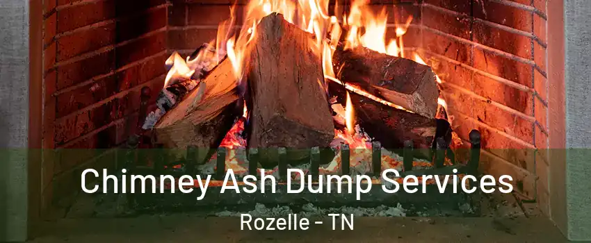 Chimney Ash Dump Services Rozelle - TN