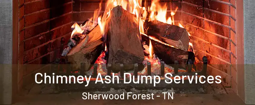 Chimney Ash Dump Services Sherwood Forest - TN