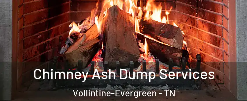 Chimney Ash Dump Services Vollintine-Evergreen - TN