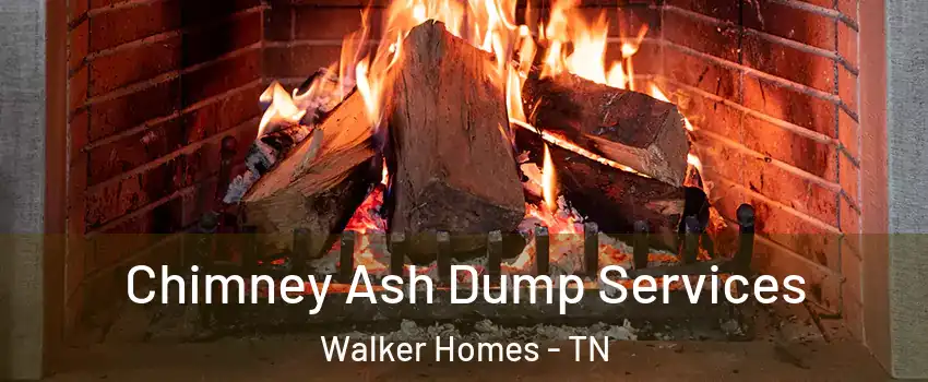 Chimney Ash Dump Services Walker Homes - TN