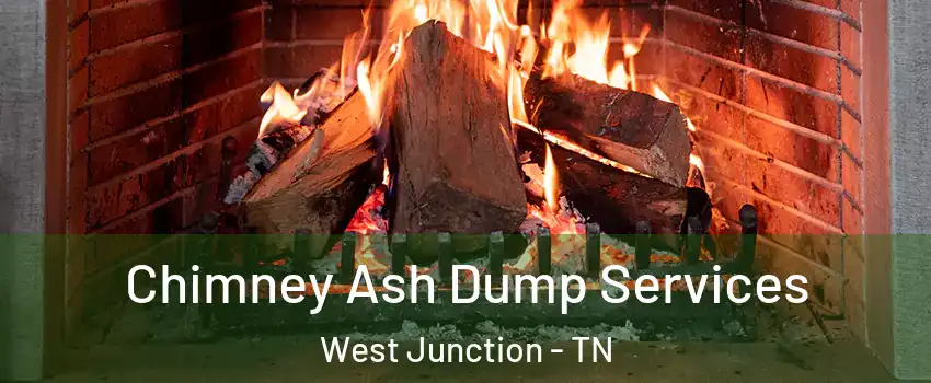 Chimney Ash Dump Services West Junction - TN