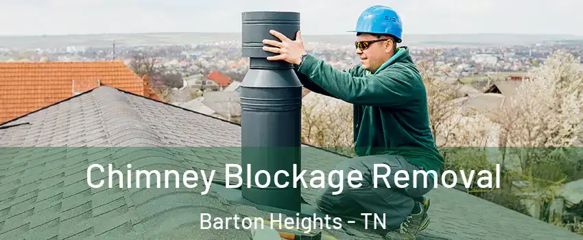 Chimney Blockage Removal Barton Heights - TN