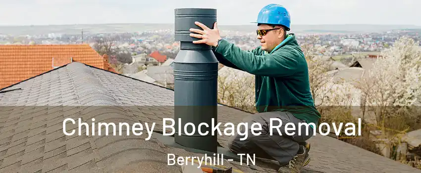 Chimney Blockage Removal Berryhill - TN