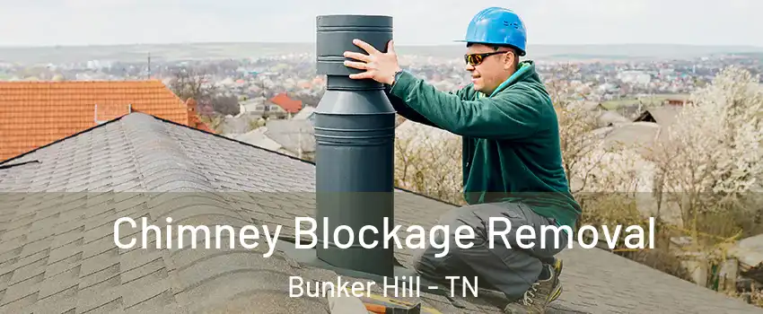 Chimney Blockage Removal Bunker Hill - TN