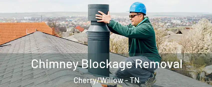 Chimney Blockage Removal Cherry/Willow - TN