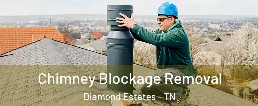 Chimney Blockage Removal Diamond Estates - TN