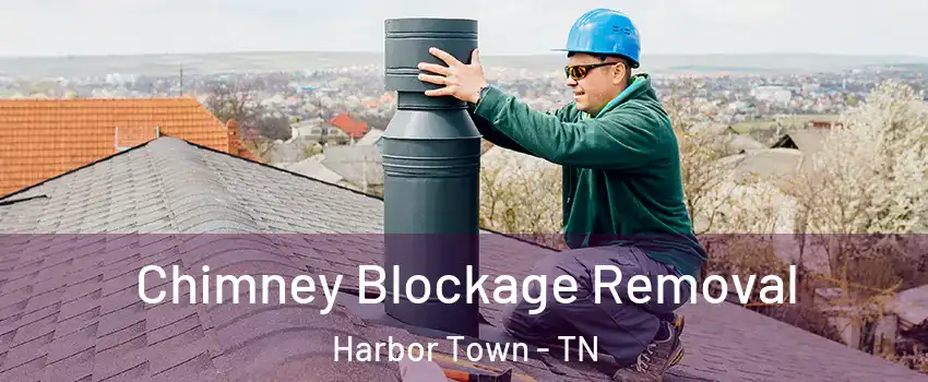 Chimney Blockage Removal Harbor Town - TN