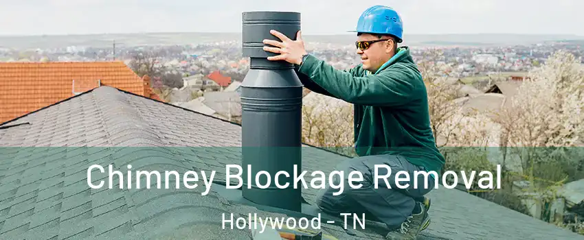 Chimney Blockage Removal Hollywood - TN