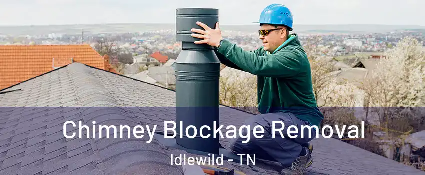 Chimney Blockage Removal Idlewild - TN