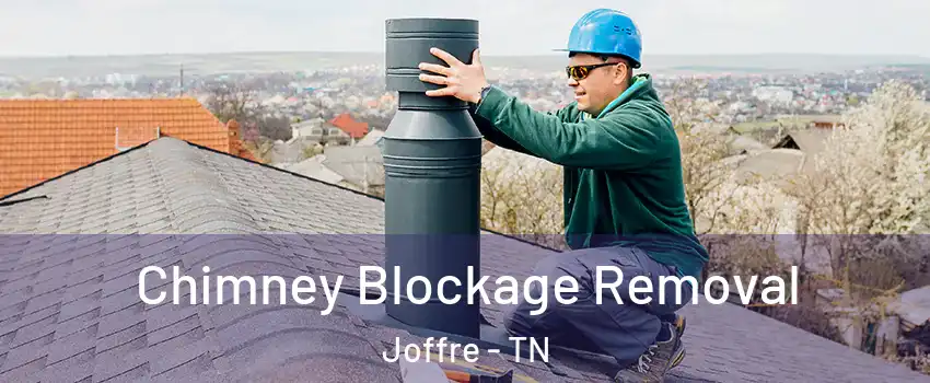 Chimney Blockage Removal Joffre - TN