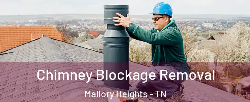 Chimney Blockage Removal Mallory Heights - TN