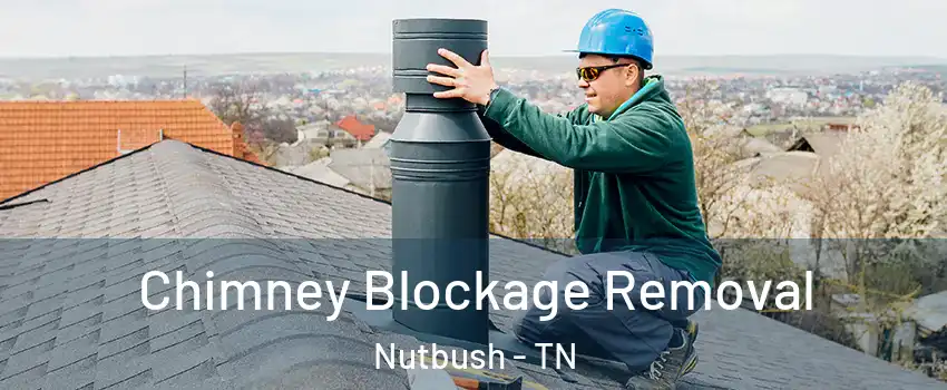 Chimney Blockage Removal Nutbush - TN