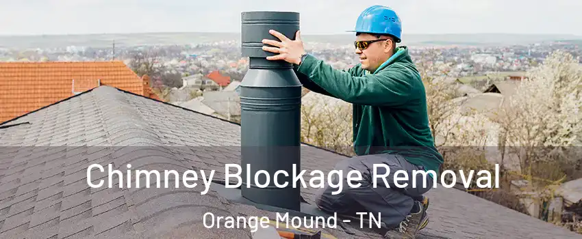 Chimney Blockage Removal Orange Mound - TN