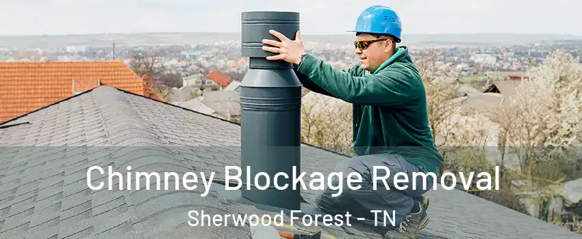 Chimney Blockage Removal Sherwood Forest - TN