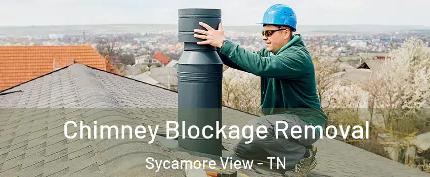 Chimney Blockage Removal Sycamore View - TN