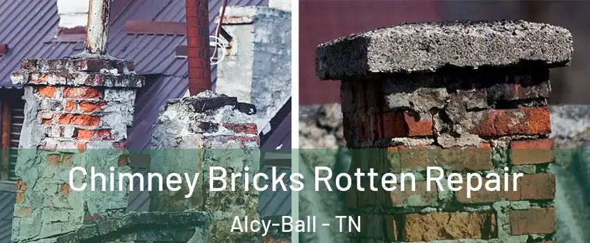 Chimney Bricks Rotten Repair Alcy-Ball - TN