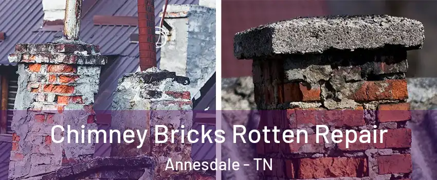 Chimney Bricks Rotten Repair Annesdale - TN