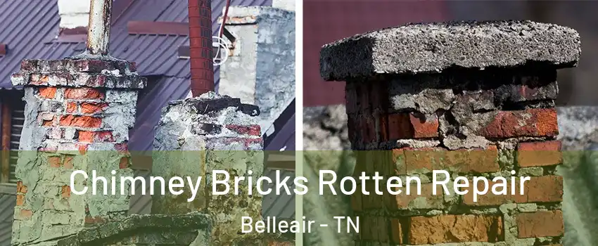 Chimney Bricks Rotten Repair Belleair - TN