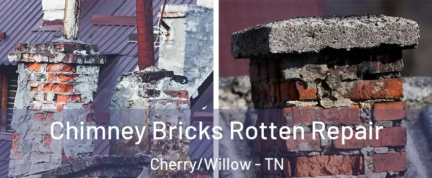 Chimney Bricks Rotten Repair Cherry/Willow - TN