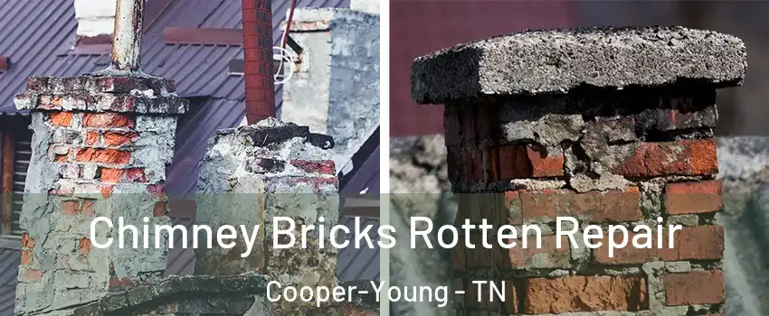 Chimney Bricks Rotten Repair Cooper-Young - TN