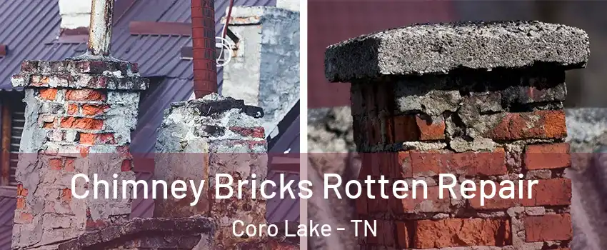 Chimney Bricks Rotten Repair Coro Lake - TN