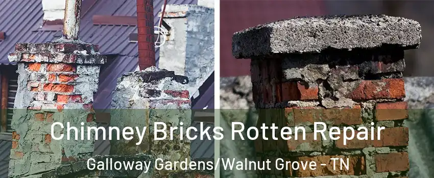 Chimney Bricks Rotten Repair Galloway Gardens/Walnut Grove - TN