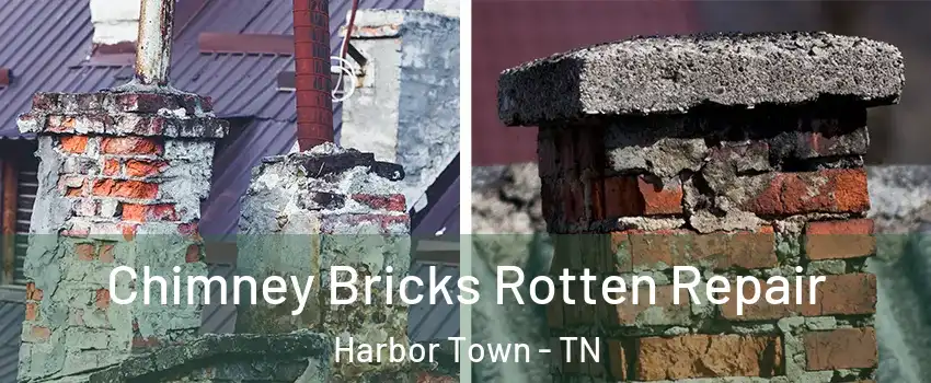 Chimney Bricks Rotten Repair Harbor Town - TN