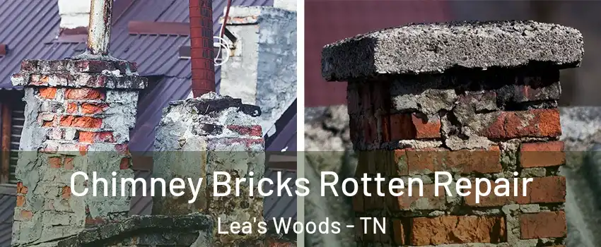 Chimney Bricks Rotten Repair Lea's Woods - TN