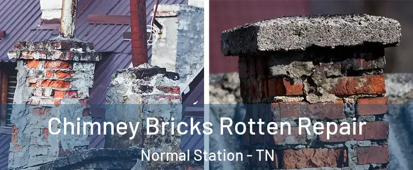 Chimney Bricks Rotten Repair Normal Station - TN