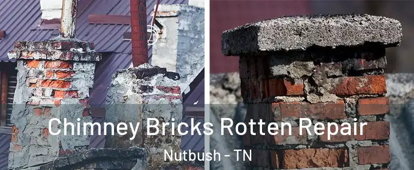 Chimney Bricks Rotten Repair Nutbush - TN