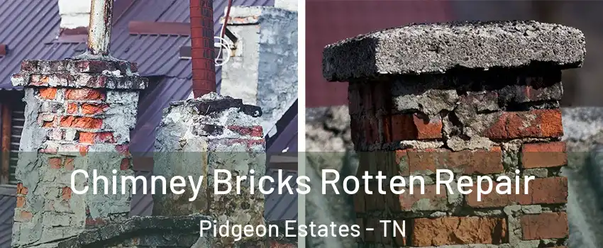 Chimney Bricks Rotten Repair Pidgeon Estates - TN