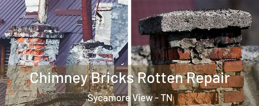 Chimney Bricks Rotten Repair Sycamore View - TN