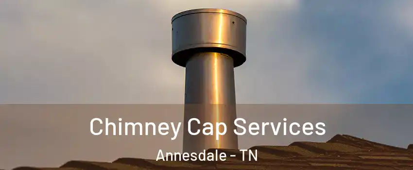 Chimney Cap Services Annesdale - TN