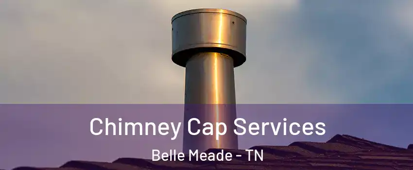 Chimney Cap Services Belle Meade - TN