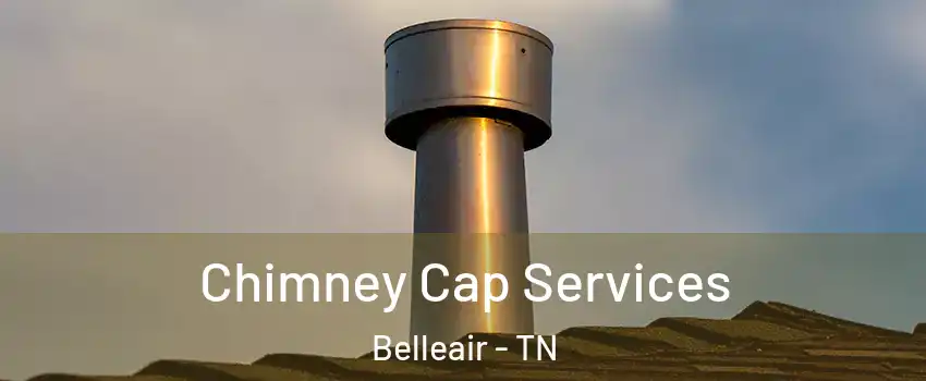 Chimney Cap Services Belleair - TN