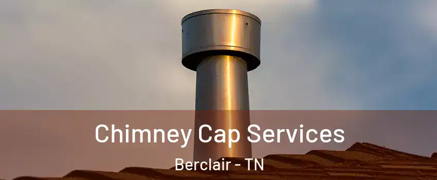 Chimney Cap Services Berclair - TN